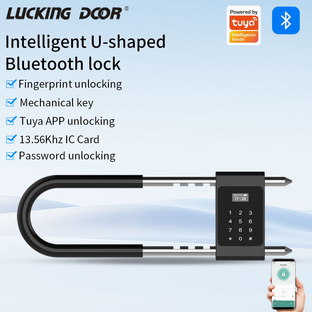 Home Office Login - Cerradura electrónica biométrica con huella dactilar,