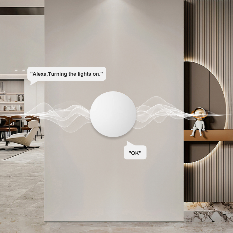 Interruptor de Escena Inalámbr - Home Office Google reseña y precio