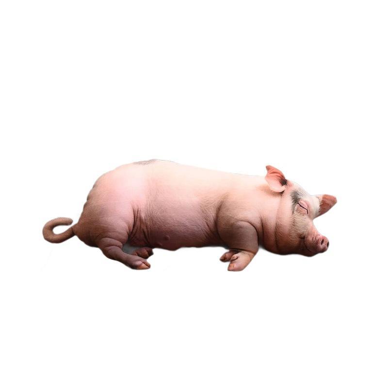 Peluche de Cerdo Durmiente Rea - Home Office Sofa reseña y precio