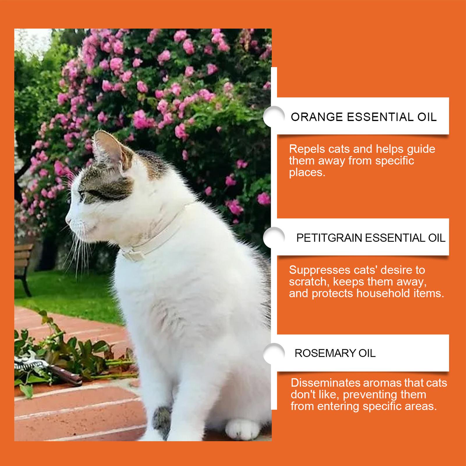 Spray Antirrasguños para Gatos - Home Office Sofa reseña y precio