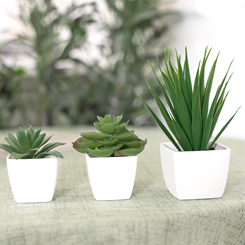 Bonsái de Planta Artificial de - Home Office Layout reseña y precio