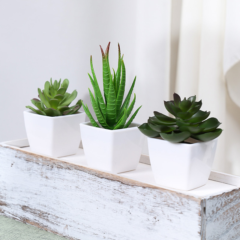 Bonsái de Planta Artificial de - Home Office Layout reseña y precio